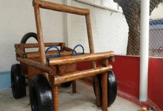 PLAYGROUND PLB48